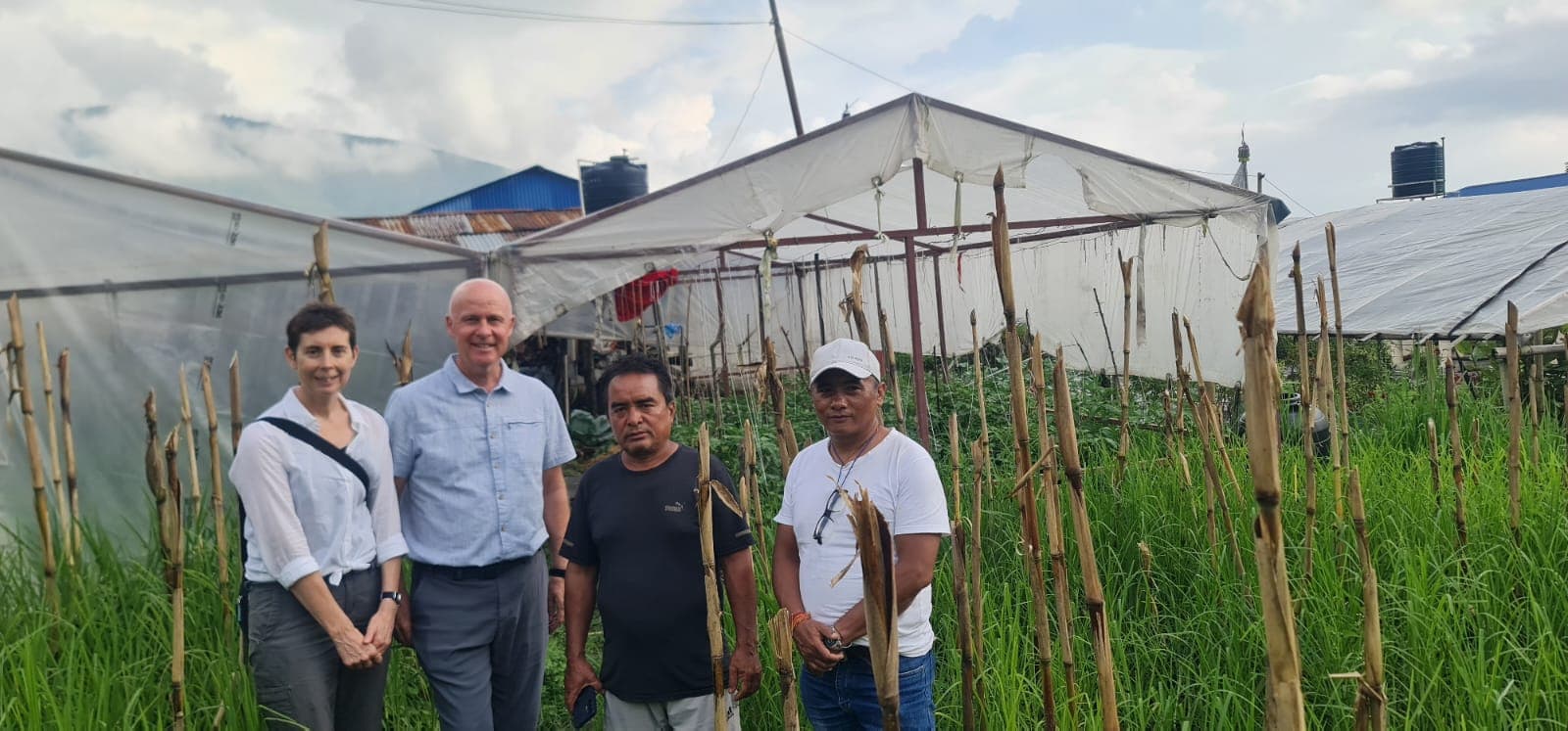 GreenHouse Building for Sustainable Farming and Income Generation