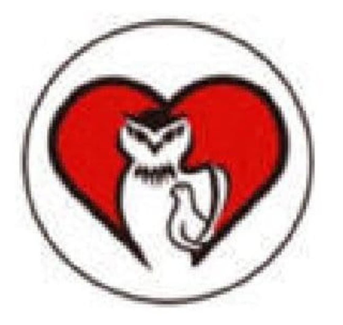 International Teachers Association(ITA)